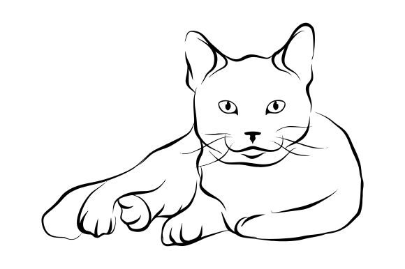 Download Cat Line Art Vector - Line art Collection