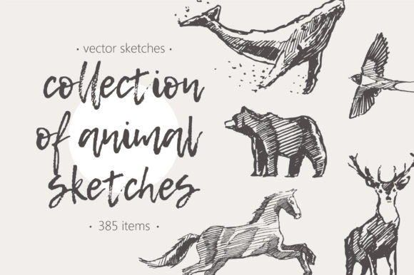 Download Huge Collection of Animal Sketches - Collection Collection