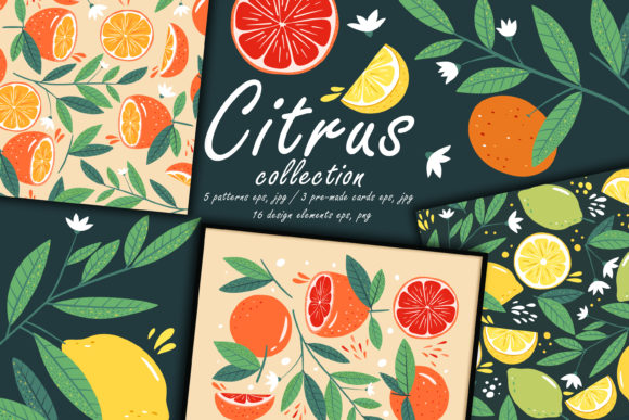 Download Citrus Collection. Botany Modern Pattern - Collection Collection