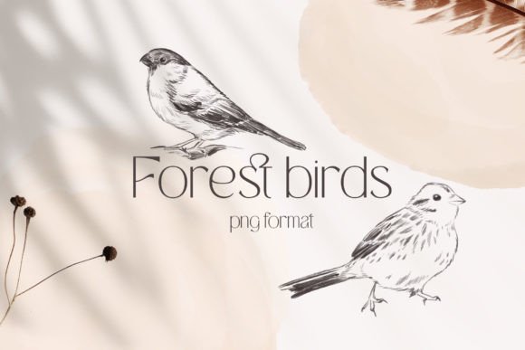 Download Forest Birds Sketches Collection - Collection Collection