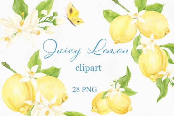 Download Watercolor Lemon Clipart, Arrangements - Arrangements Collection