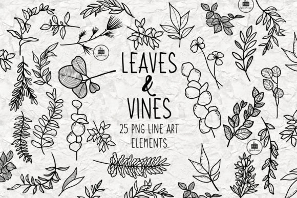 Download Leaves and Vines Line Art Elements - Line art Collection