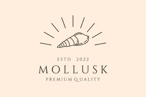 Download Mollusk and Sunburst Line Art Logo - Line art Collection
